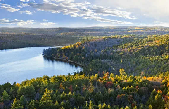 Algonquin Provincial Park