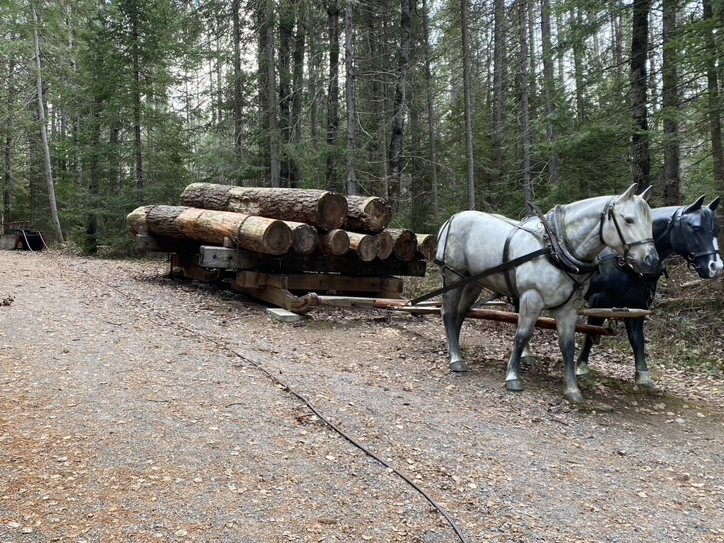 Algonquin Logging Museum