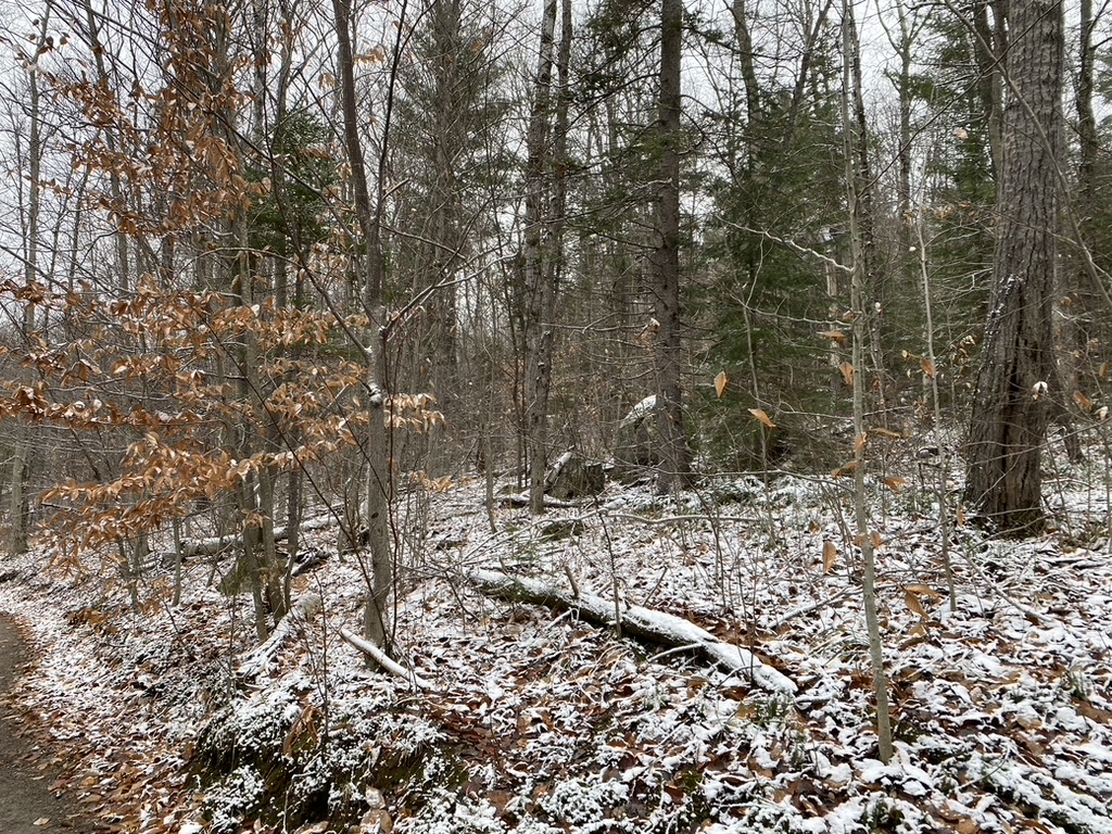 Lookout Trail