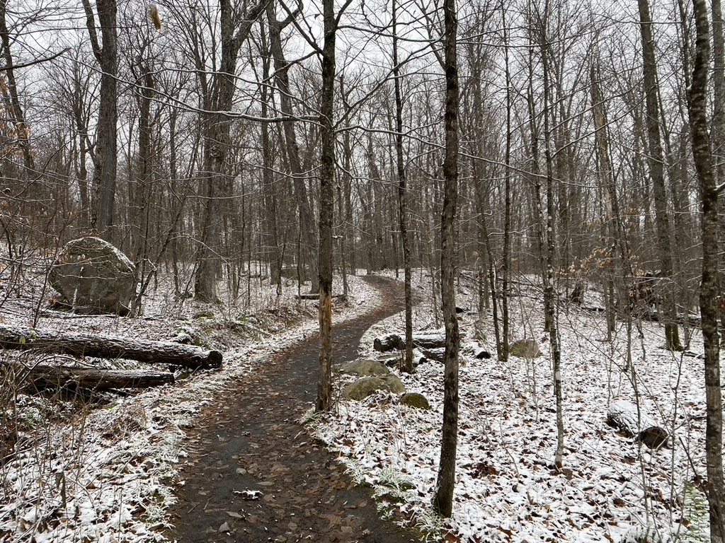 Lookout Trail