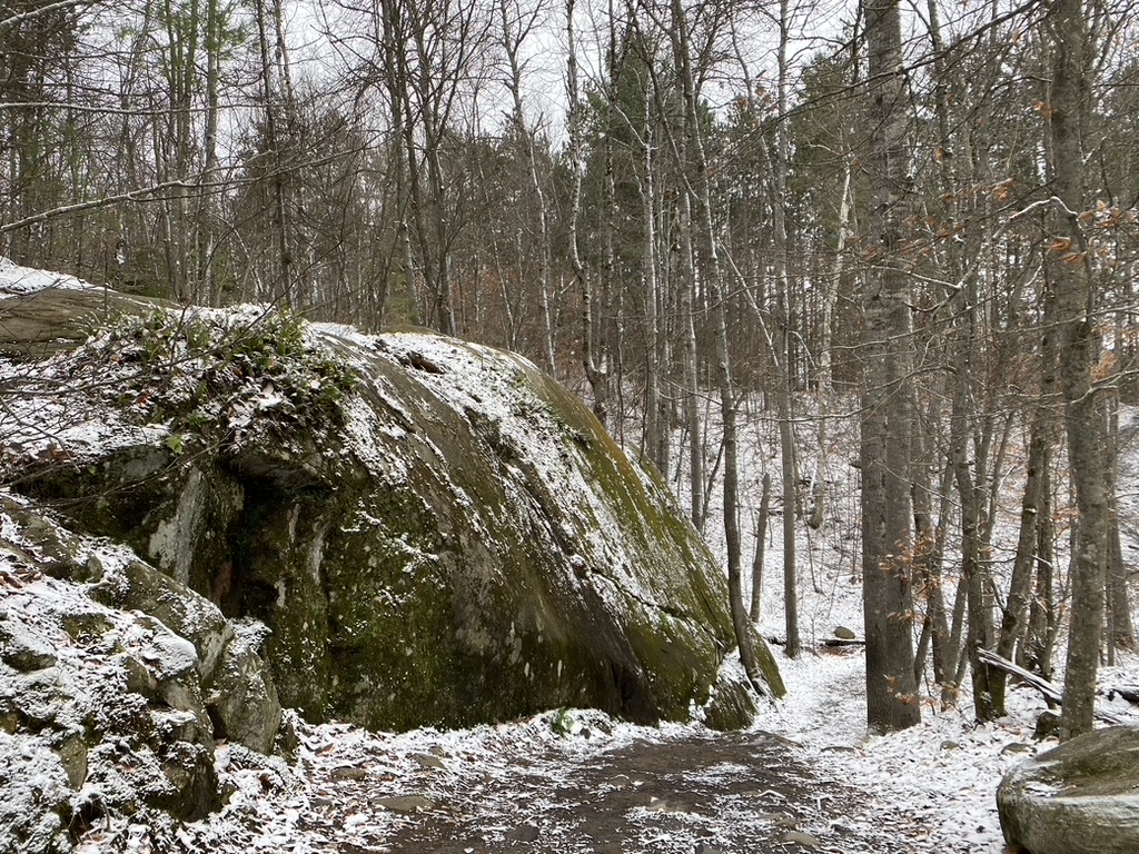 Lookout Trail