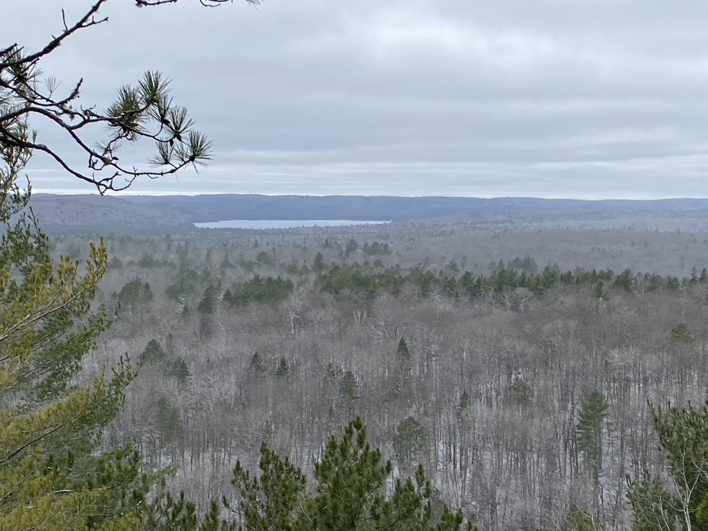 Lookout Trail