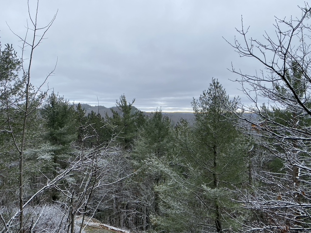 Lookout Trail