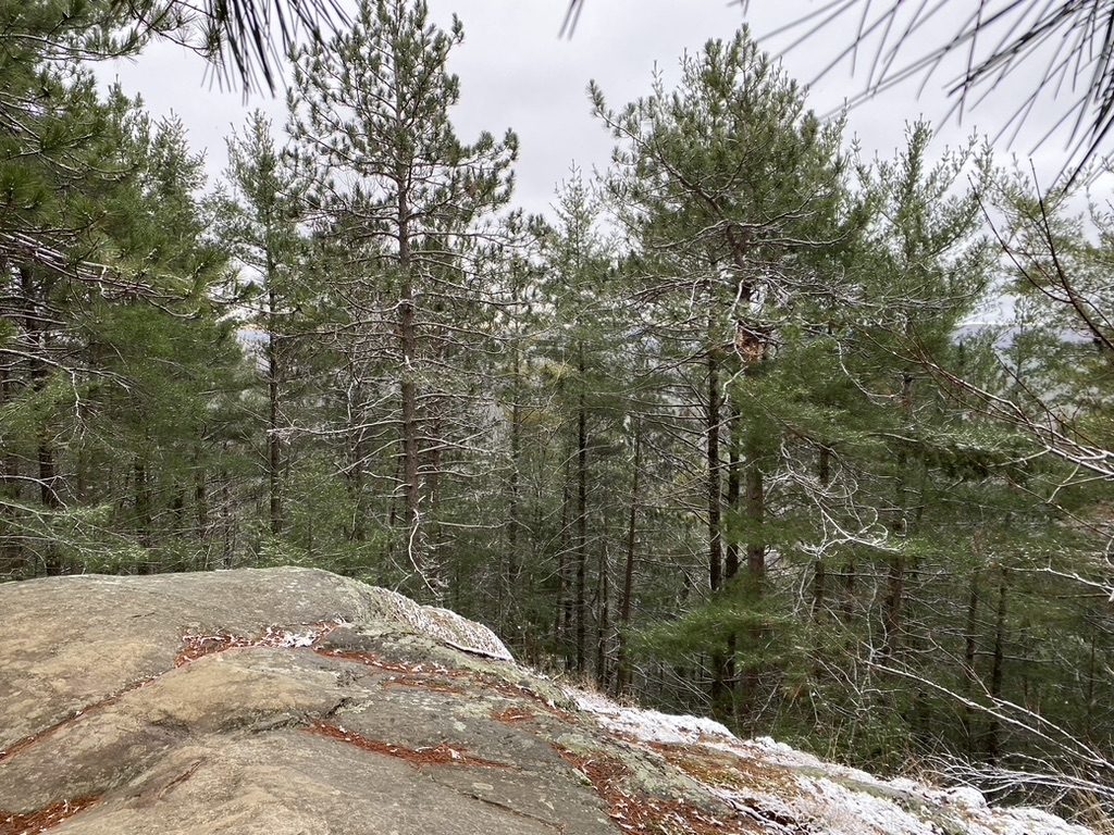 Lookout Trail